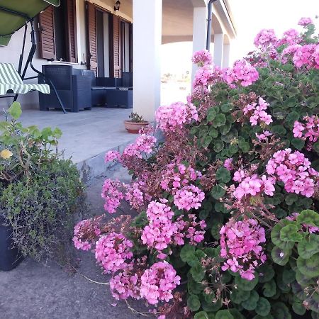 La Macchia Mediterranea Bacu Abis Buitenkant foto