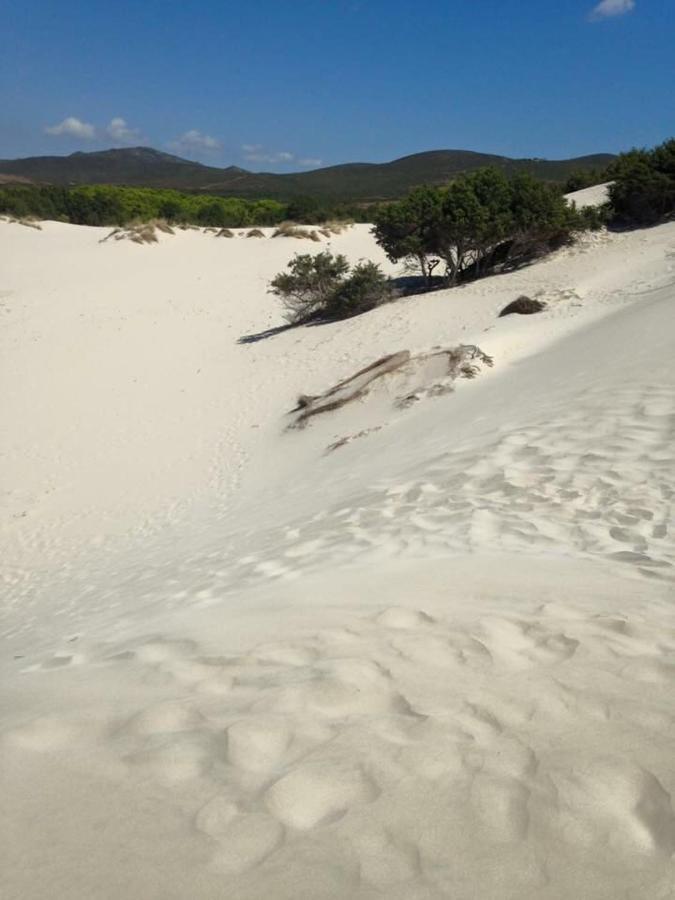La Macchia Mediterranea Bacu Abis Buitenkant foto