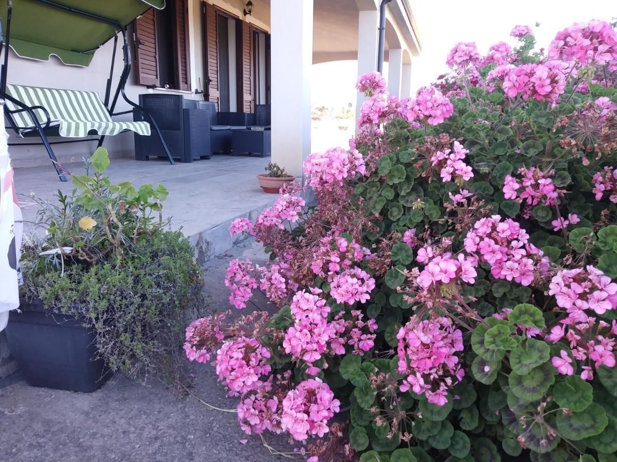 La Macchia Mediterranea Bacu Abis Buitenkant foto